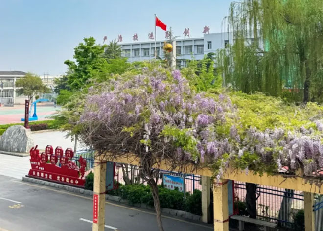 春风送书香藏尽校园温柔与期许