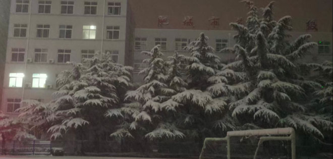 雪景松树