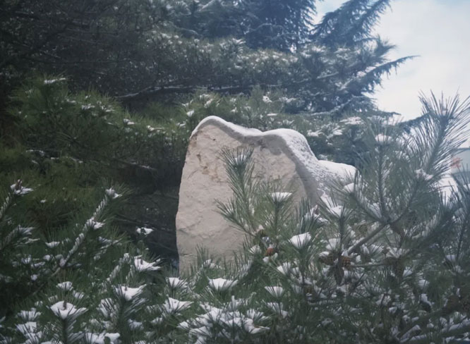 邂逅雪后的山东肥矿技师学院