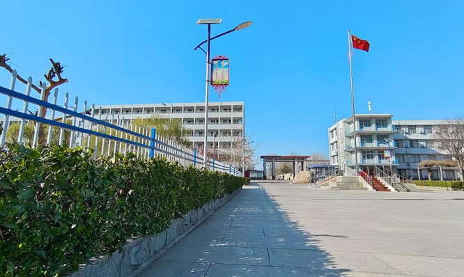 万物复苏的校园