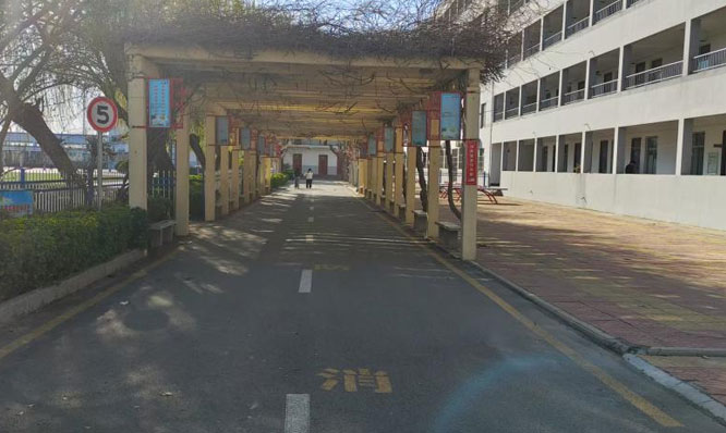 荫长廊早已抽出了新芽