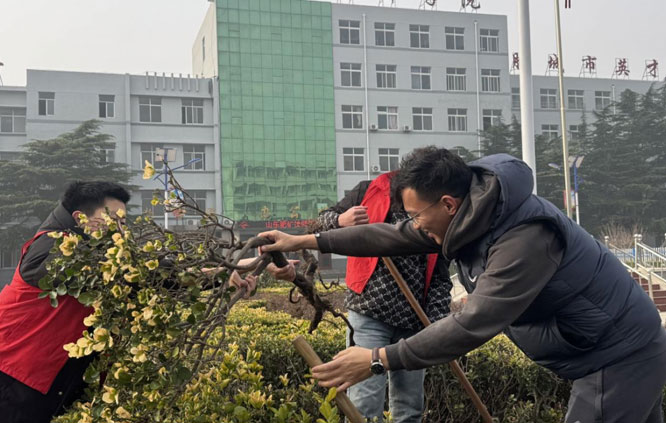 师生联手绿化校园