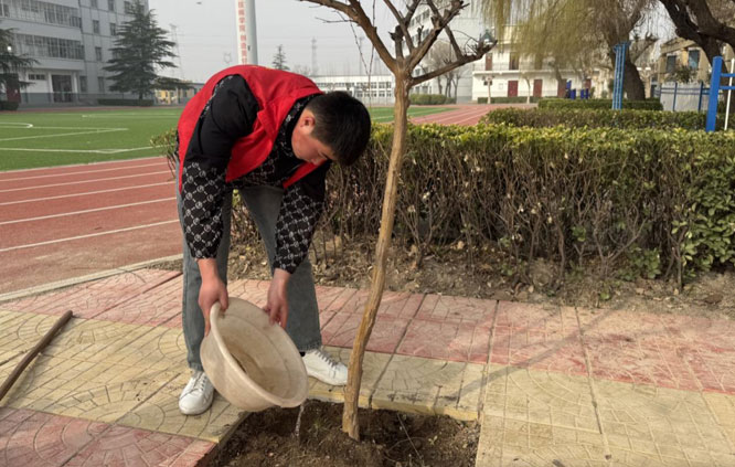 为新种绿植浇水